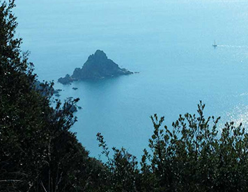 Spini Bianchi Resort Argentario